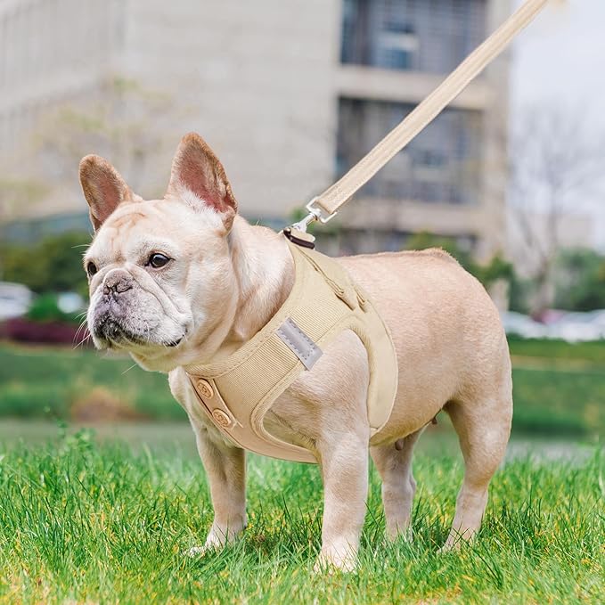 PUPTECK Dog Harness and Leash Set for Small Medium Dogs No Pull Step-in Soft Mesh Puppy Cat Vest Harnesses Reflective at Night, Denim Burlywood M