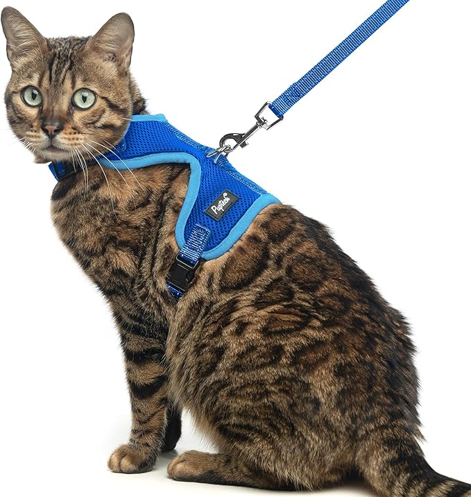 PUPTECK Cat Harness and Leash Set Escape Proof, Reflective Adjustable Soft Mesh Kitten Vest Harness for Walking Travel, Navy Blue, M