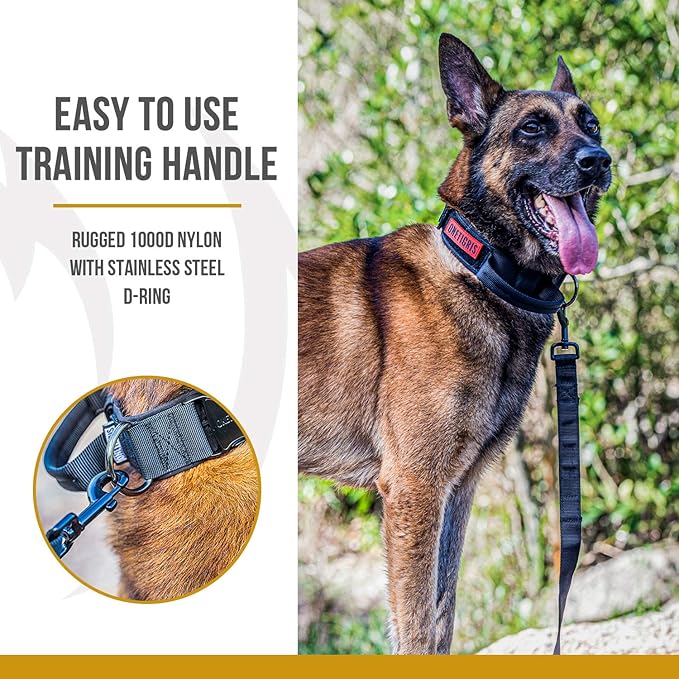 OneTigris Tough Dog Collars, Tactical Dog Collar with Handle, Milltary Adjustable Dog Collar with Heavy Duty Metal Buckle for Training (Medium (Pack of 1), Black)