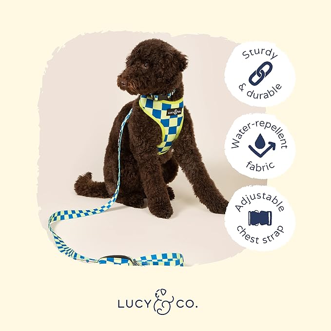 Lucy & Co. Lime Green with Blue Checker Smiley Faces, Cute Reversible Dog Harness Walking Halter - Best Designer Pet Harnesses for XS - XL Dogs - Padded Adjustable Vest for Easy Walking (X-Large)