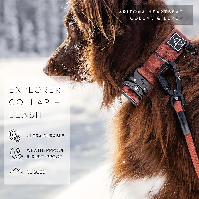 Made to ROAM Premium Dog Collar - Adjustable Heavy Duty Nylon Collar with Quick-Release Metal Buckle (Arizona Heartbeat, Classic Size 0)