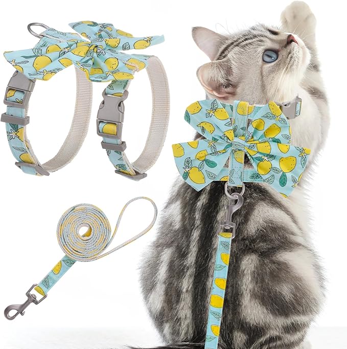 PAWCHIE Cat Harness and Leash Set with Bow Knot,Cats Escape Proof - Adjustable Daisy Floral Kitten Harness Soft Outdoor Walking Travel Pet Harness,Puppy Harness for Girl Cats Bunny Rabbit Small Dog