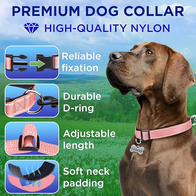 TECEUM Reflective Pet Collar – Pink – XS – Extra Soft Padding – Basic Nylon Dog Collar – Quick Release Buckle – Fits Small, Medium and Large Dogs, Puppies, Cats – ESA & Service Dog Options