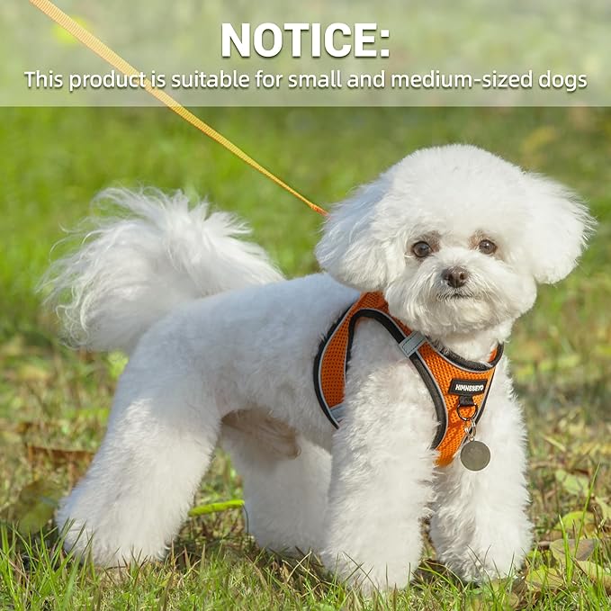 Dog Harness and Leash Set, Dog Harness for Dogs No Pull, No-Chock Step-in Reflective Breathable Lightweight Easy Walk Vest Harnesses with Safety Buckle for Small Medium Dogs, Cats (Orange, XXS)