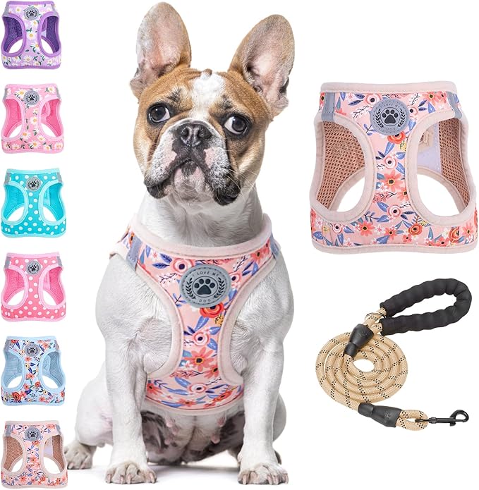BEAUTYZOO Step in Dog Harness and Leash Set,Floral Pattern Reflective Dog Harness No Pull No Choke Puppy Harness for Small Medium Large Dogs Cats,Soft Padded Mesh Vest Harnesses for Girl and Boy Pets