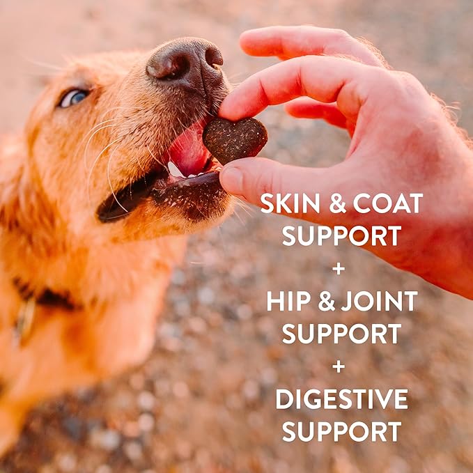 Shameless Pets Soft-Baked Treats, Fish & Poultry Variety 3-Pack - Natural & Healthy Chews for Small, Medium & Large Dogs - Biscuits Baked & Made in USA, Free from Grain, Corn & Soy