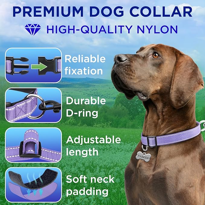 TECEUM Reflective Pet Collar – Lavender – S – Extra Soft Padding – Basic Nylon Dog Collar – Quick Release Buckle – Fits Small, Medium and Large Dogs, Puppies, Cats – ESA & Service Dog Options