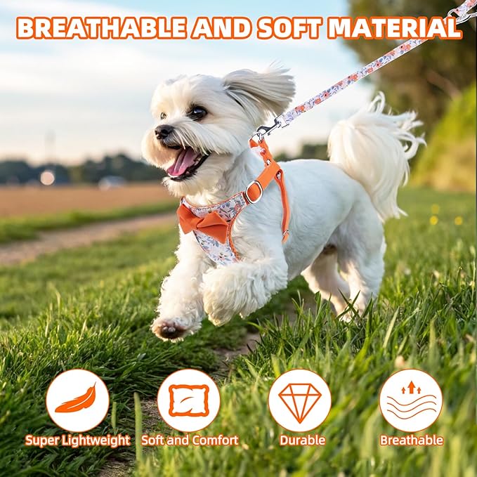 PUPTECK Dog Harness and Leash Set Small Sized, Step-in Cute Puppy Harness, Soft Lightweight Padded Vest, Escape Proof No Pull Pet Harnesses Easy for Walking, Flower Orange, M