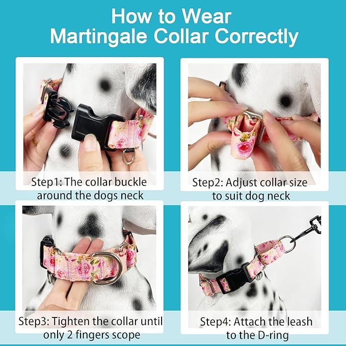 Female Martingale Dog Collar with Buckle Cute Girl Pink Floral Dog Collars for Medium Dogs, Watercolor Pink Rose