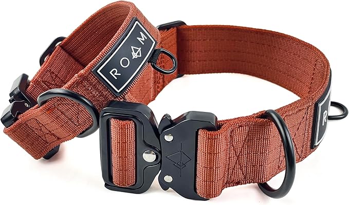 Made to ROAM Premium Dog Collar - Adjustable Heavy Duty Nylon Collar with Quick-Release Metal Buckle (Arizona Sunkissed, Classic Size 3.5, Old Roam Logo)
