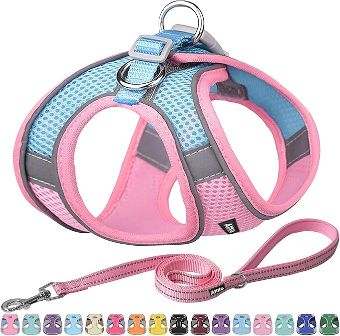 AIITLE Dog Harness, Spring No-Pull Cat Harness with a Leash, Adjustable Reflective Dog Vest, Cat Harness Escape Proof, Outdoor Walking, Camping for Extra Small Dogs and House Cats Pink XXXS