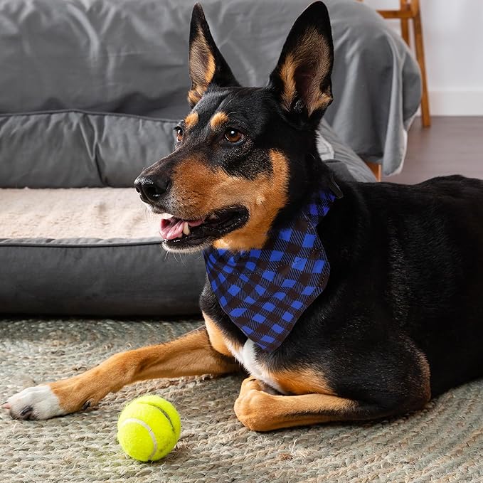 Dog Collars and Bandanas - Soft Adjustable Fancy Floral Boys Girls Puppy Collar for Small Medium Large Dogs.