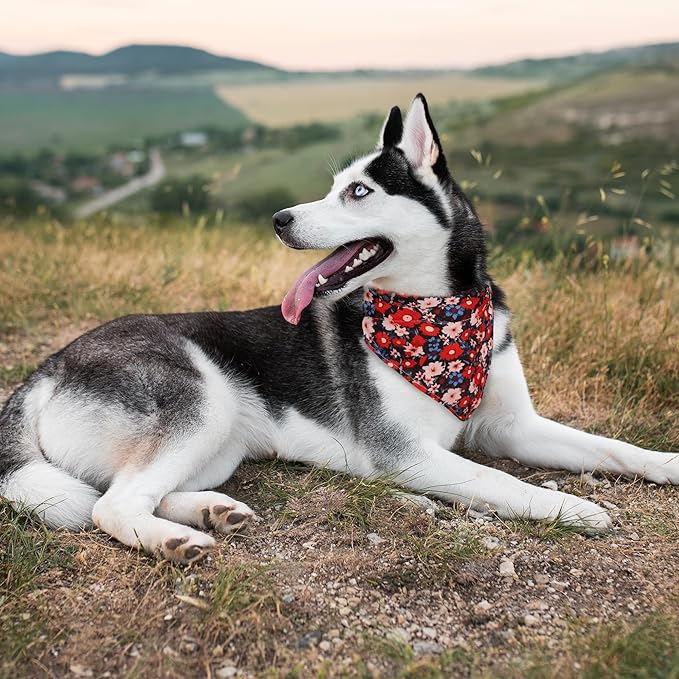Dog Collars and Bandanas - Soft Adjustable Fancy Floral Boys Girls Puppy Collar for Small Medium Large Dogs.