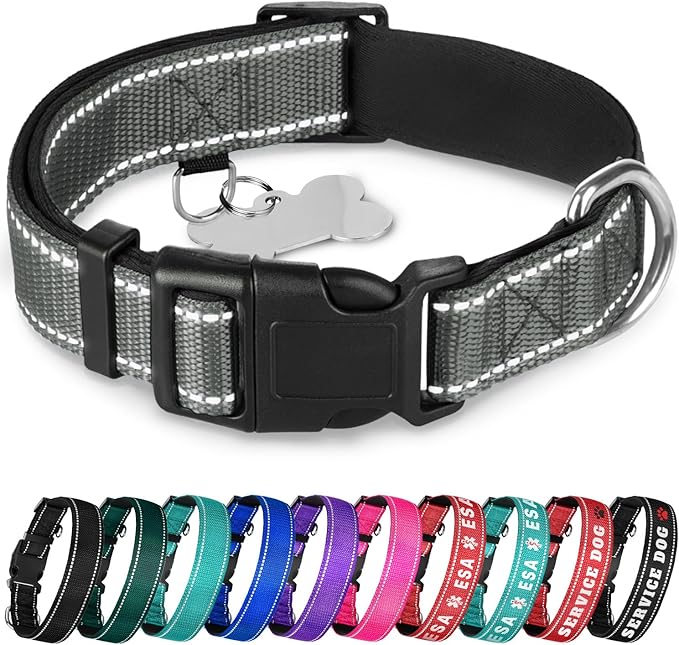 TECEUM Reflective Pet Collar – Gray – L – Extra Soft Padding – Basic Nylon Dog Collar – Quick Release Buckle – Fits Small, Medium and Large Dogs, Puppies, Cats – ESA & Service Dog Options