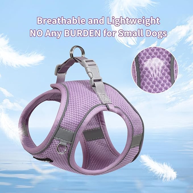 AIITLE Small Dog Harness, No-Pull Cat Harness with a Leash, Step in Adjustable Puppy Harness with Quick-Release Buckle, Reflective Outdoor Pet Vest for Extra Small Dogs and House Cats Purple XXS