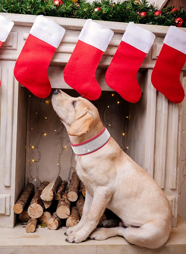 Bling Rhinestone Dog Collar Soft Comfortable Stylish Dog Collar with Bright Reflective Stripe Premium Adjustable Diamond Crystal Pet Collar for Small Medium and Large Dogs (M, Red)