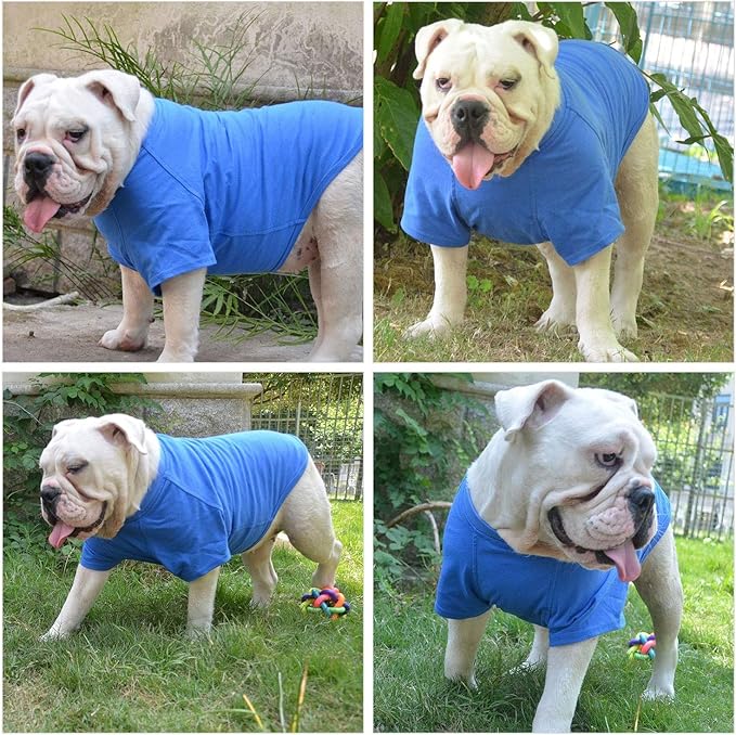 Lovelonglong Pet Clothing Dog Costumes Basic Blank T-Shirt Tee Shirts for Large Dogs Blue XXXXL