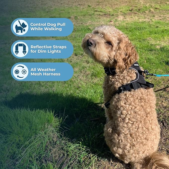 Dog Harness Dual Leash Attachment No-Pull Control Adjustable Soft but Strong Pet Harness for Medium and Large Dogs with 3M Reflective Technology - Harness Leash Set (Black), XL