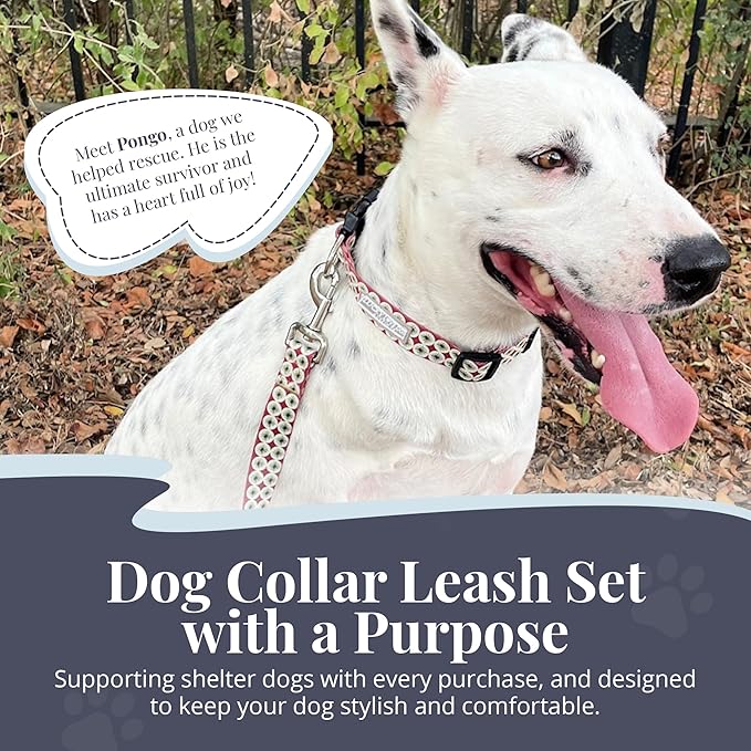 Lucky Love Dog - Easy Click Buckle Dog Collar with Leash Set Combo, Durable & Comfortable Collar for Male & Female Dogs, Pet Collar for Small to Large Dogs, Secure Fit - Pongo Combo, Medium