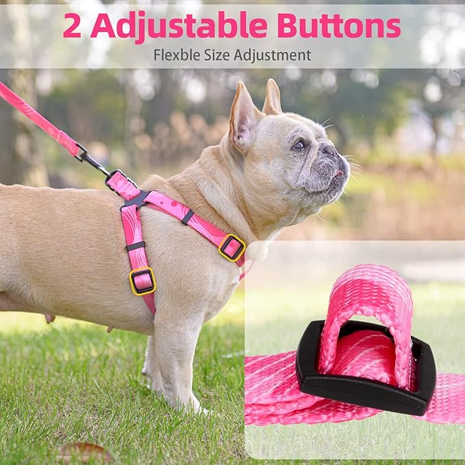 PUPTECK No Pull Dog Harness Soft Adjustable Basic Nylon Step in Puppy Vest Outdoor Walking with Leash Printed Pink