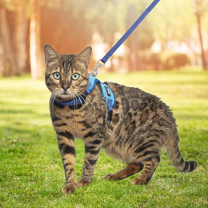 PUPTECK Cat Harness and Leash Set Escape Proof, Reflective Adjustable Soft Mesh Kitten Vest Harness for Walking Travel, Blue, S