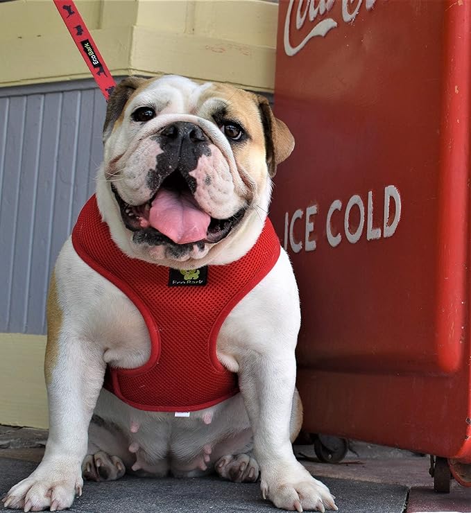 Classic Dog Harness Innovative Mesh No Pull No Choke Design Soft Double Padded Breathable Vest for Eco-Friendly Easy Control Walking for Large Puppies Full Size Breeds & Extra Large Dogs (XL, Red)