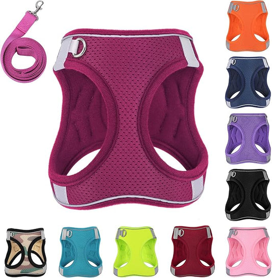 Dog Harness with Leash Set, No-Pull Step-in Reflective Pet Harness with 1 Leash Clips, Adjustable Soft Padded Easy Walk Dog Vest for Small Medium Large Dogs, Cats(Rose Red, Small)