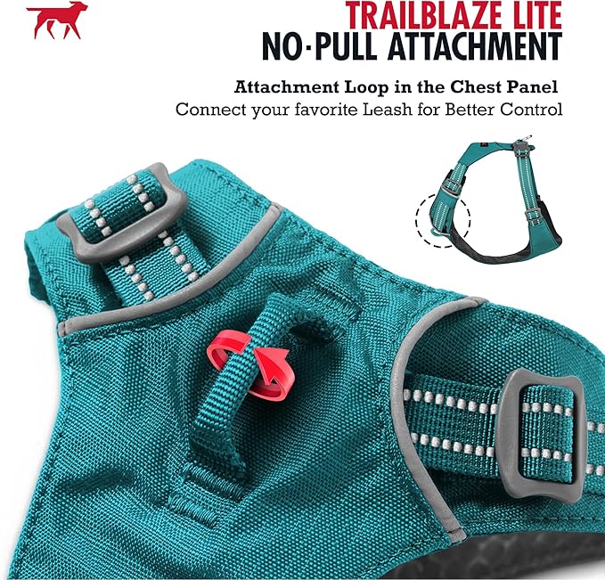 Tuff Pupper Lightweight Dog Harness for Walking | Front & Back Leash Clips | 4-Way Adjustable Fit | Reflective Trim | Easy On/Off Buckles | Lightweight & Breathable | No Pull Design (XXXS, Teal)