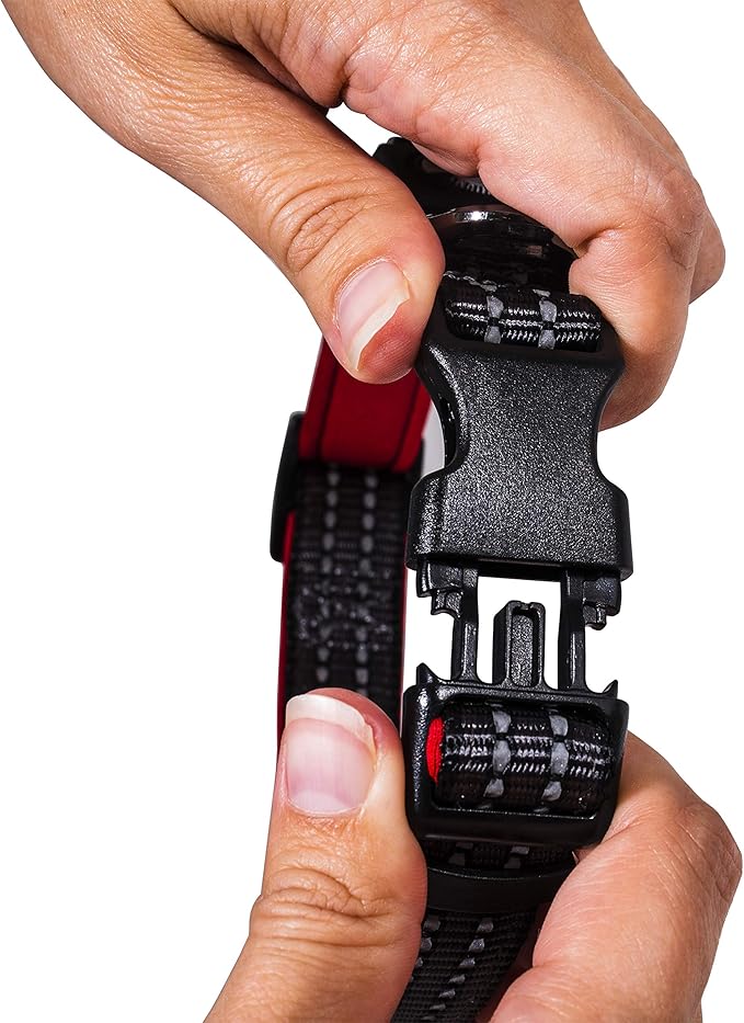 Franklin Pet Supply Co. - Nylon Dog Collar - Reflective Comfort - Fit - Neoprene - Adjustable- Small- Medium - Large - Puppy - Dog - Cat- Easy Clip