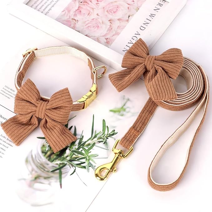 Didog Dog Collar and Leash Set with Bowtie, Girl Dog Collars Metal Buckle Adjustable for Small Medium Dogs(Brown, M)