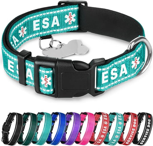 TECEUM Reflective Pet Collar – Teal - ESA – XL – Extra Soft Padding – Basic Nylon Dog Collar – Quick Release Buckle – Fits Small, Medium and Large Dogs, Puppies, Cats – ESA & Service Dog Options
