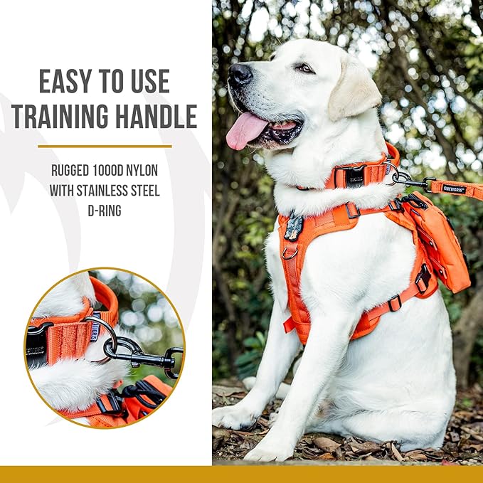 OneTigris Tough Dog Collars, Tactical Dog Collar with Handle, Milltary Adjustable Dog Collar with Heavy Duty Metal Buckle for Training (Medium(Pack of 1), Orange)