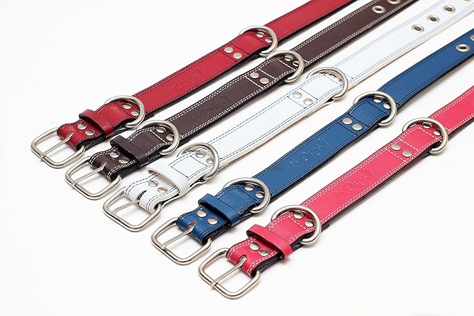 Premium Leather Collars with Stainless Steel Buckles (18"-21", Pink)