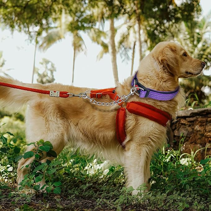 Dog Collar Backup Strap,Harness to Collar Safety Clip, Metal Stainless Steel Chain Leash Safety Strap, Escape Proof Safety Attachment for Dog, safeties, Backup, Connector. (10 Inches)