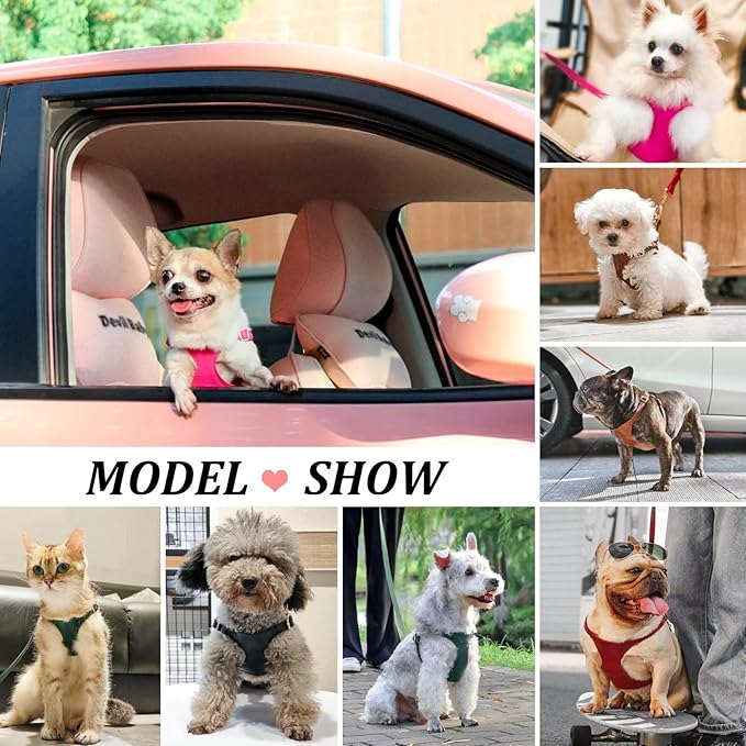 Didog Small Dog Harness and Leash Set, Soft & Lightweight Dog Vest Harness, Adjustable Leather Dog Harness for Small Dogs, Red, XXS