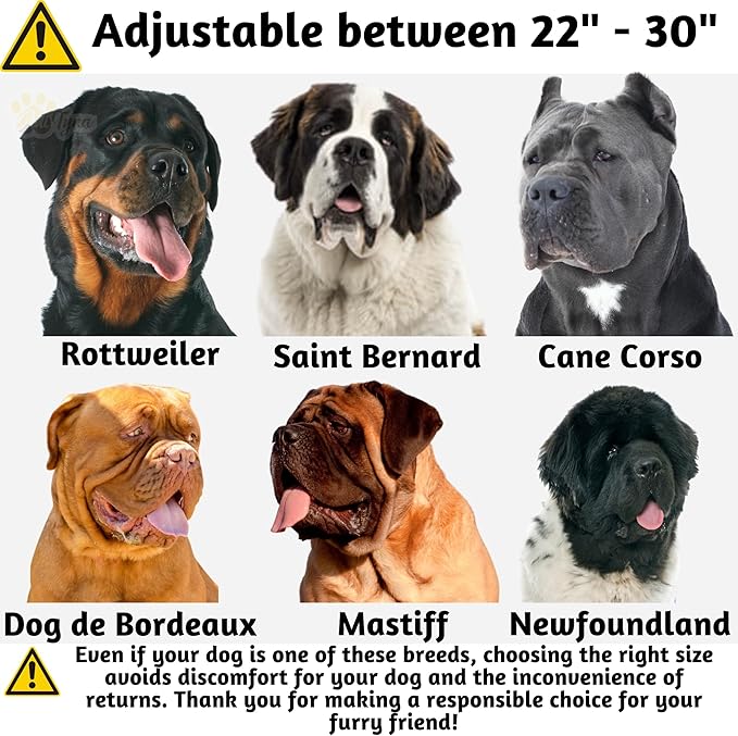 ADITYNA Heavy Duty Leather Dog Collar for Extra-Large Dogs - Soft and Strong Leather Collar for XL Breeds (Extra-Large: Fit 22" - 30" Neck, Brown)