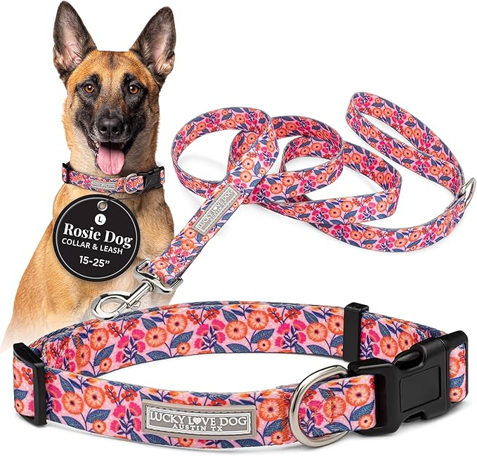 Lucky Love Dog - Easy Click Buckle Dog Collar with Leash Set Combo, Durable & Comfortable for Male & Female Dogs, Pet Collar for Small to Large Dogs, Secure Fit - Floral Rosie Combo, Large