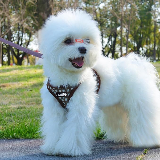 AIITLE Easy Walk Dog Vest Harness and Leash Set, Pet Supply No Pull, Breathable Mesh, Reflective Stripes, Adjustable Escape Proof Pet Outdoor Harnesses for Medium Dogs Chocolate L