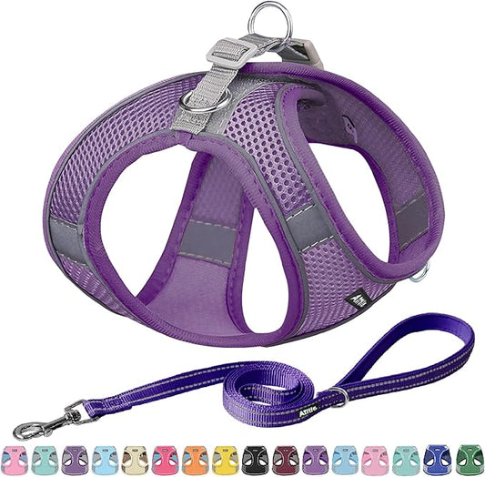 AIITLE Comfortable Dog Harness and Leash Set for Walking - Spring Step in Vest Harness,Reflective Bands, Adjustable No Pull Puppy Essentials, for Small Dogs and House Cats Pure Purple XS