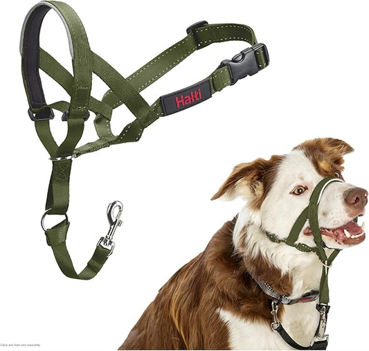 HALTI Headcollar - to Stop Your Dog Pulling on The Leash. Adjustable, Reflective and Lightweight, with Padded Nose Band. Dog Training Anti-Pull Collar for Medium Dogs (Size 2, Forest Green)