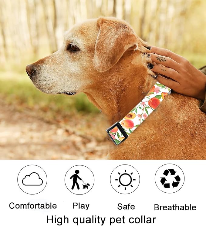Dog Collar, Cute Dog Collar for Small Medium Large Dogs, Personalized Adjustable Soft Pet Collars with Quick Release Buckle for Walking Running, Cute Peaches