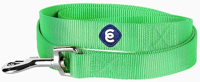 Blueberry Pet Essentials 19 Colors Durable Classic Dog Leash 5 ft x 3/8", Neon Green, X-Small, Basic Nylon Leashes for Puppies