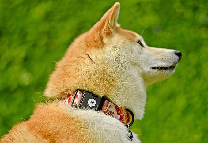 Tuff Pupper Premium Adjustable Dog Collar for Extra Large Boy & Girl Dogs, Stylish Pattern Collars Designed in USA, Quick Release Buckle, AztekSun Print, XL (1.25 Inch Wide x 20-30 Inch Neck)