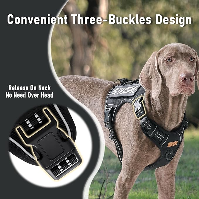 No Pull Dog Harness for Extra Large Dogs, Release on Neck, for Alaska Malamute, Bull Mastiff, Rottweiler, Great Dane etc, for Training, Casual Walks, Jogging, Easy Control Vest with Handle, Black XL