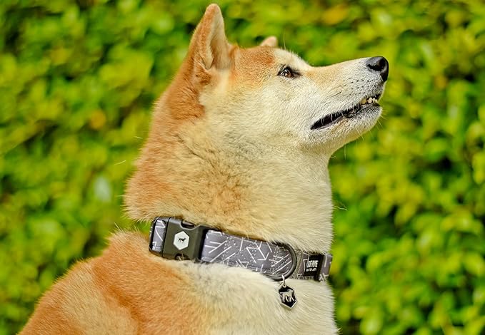 Tuff Pupper Premium Adjustable Dog Collar for Medium Boy & Girl Dogs, Stylish Pattern Collars Designed in USA, Quick Release Buckle, TotemRealm Print, Medium (1 Inch Wide x 13-18 Inch Neck)