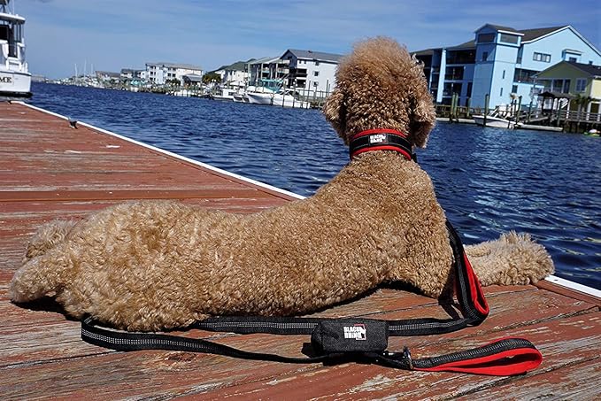 Black Rhino - The Comfort Collar Ultra Soft Neoprene Padded Dog Collar for All Breeds - Heavy Duty Adjustable Reflective Weatherproof (Small, Red/Black)