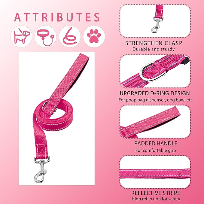 Reflective Dog Collar with Safety Locking Buckle, Adjustable Soft Breathable Nylon Collars for Small, Medium and Large Dogs(Collar+Leash L Hotpink)
