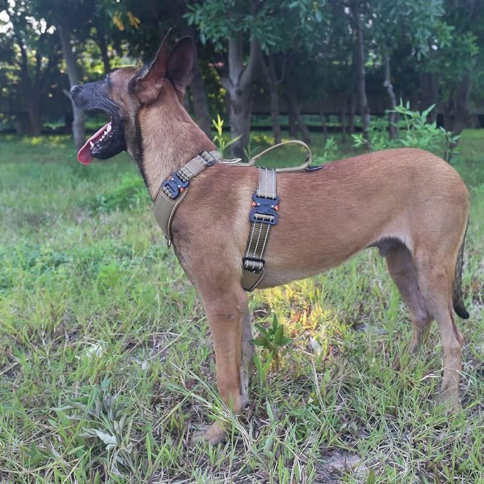 ICEFANG Dog Strap Harness with 4 x Metal Buckles,for X-Large Sized Dog,K9 Vest,Y-Shape Chest,Adjustable Pet Harness,No-Pull Front Leash Clip (X-Large (Pack of 1), Brown)