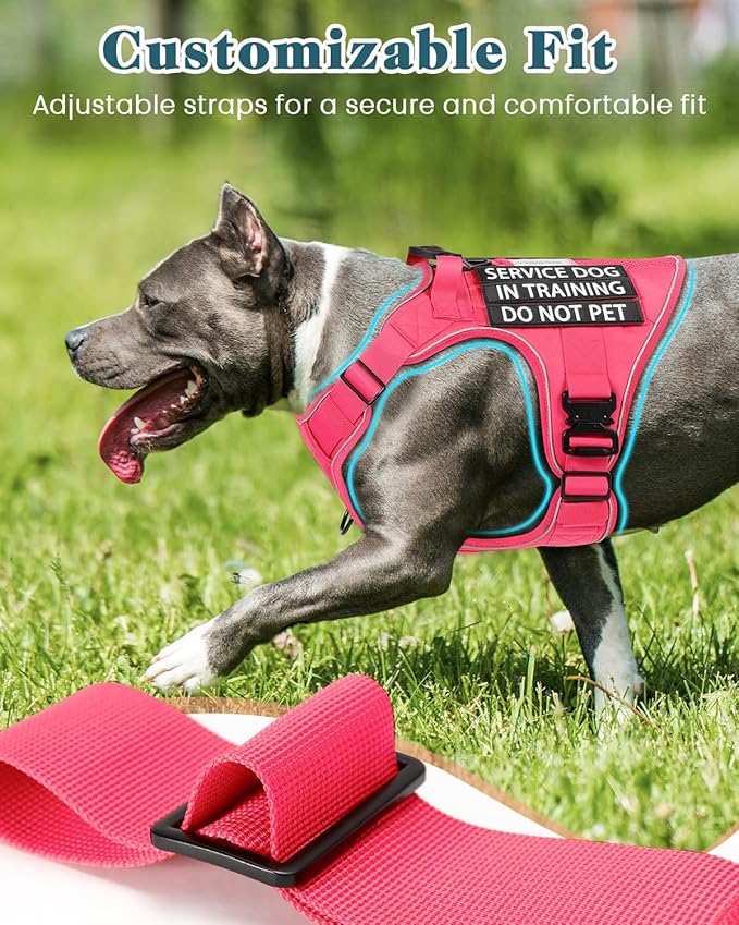 Pink Service Dog in Training Vest Harness for Extra Large Dogs, Reflective Adjustable Heavy Duty Padded Dog Harness, with Front Clip and Metal Buckles Do Not Pet for Training, Hiking