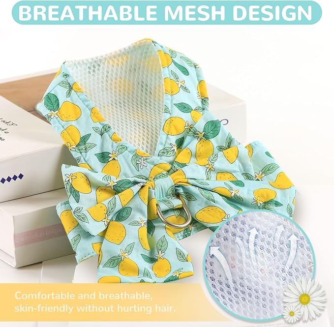 BAEJMJK Dog Harness and Leash Set with Bow Knot No Pull Pet Daisy Floral Harness with D-Ring Soft Mesh Dog Harness Vest Set Escape Proof Princess Puppy Harness for Small Girl Dogs Cats（Green XS）